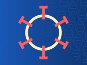 Knowledge Graphs power scientific research and business use cases. The Year of the Graph Newsletter Vol. 19, April / March 2020